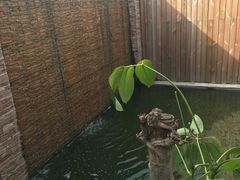 -回声星球·团建策划·赛事承办·拓展培训(大钟寺店)