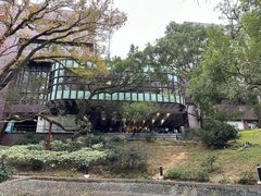 -香港大学