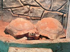 -威海华夏城景区