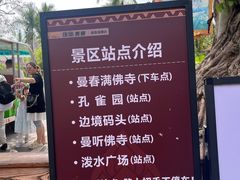 -西双版纳傣族园