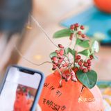 做一个好奇南瓜灯过万圣节啦🎃