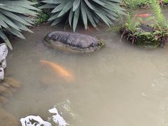 -柳侯公园