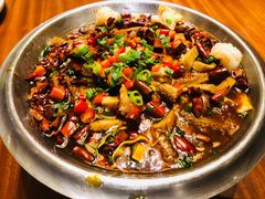 -老江南春·中国龙菜(衡山路店)