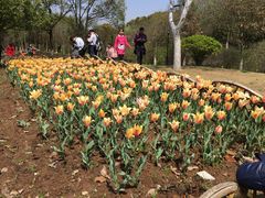 -白马涧龙池景区