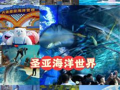 -大连圣亚海洋世界