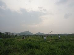 -美丽洲堂