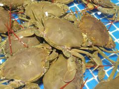 -三亚火车头万人海鲜广场