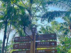 -中国科学院西双版纳热带植物园