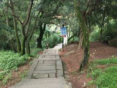 -青芝山风景名胜区