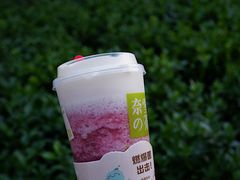 -奈雪的茶(石家庄万象城店)