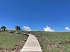 -芦芽山旅游度假区
