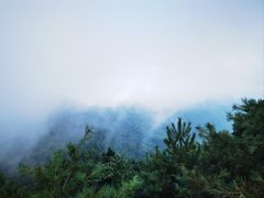 -秦岭天竺山景区