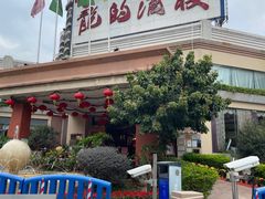 -龙的酒楼·手工早茶·顺德菜(近良路店)