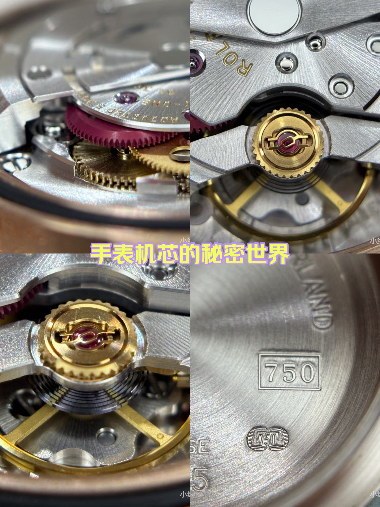 劳力士女表的内部美图