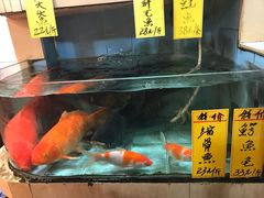 -鸿达渔港