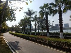 -五缘湾湿地公园