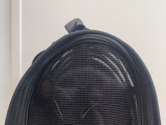 -芭比堂动物医院·CT·微创中心(新顺分院)