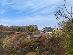 -少华山国家森林公园