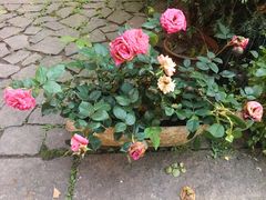 -国生茶庄·地道农家菜团建活动