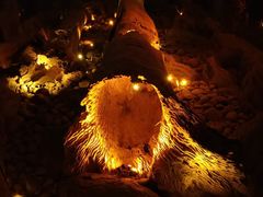 -乐山乌木文化博览苑