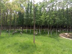 -艾溪湖湿地公园