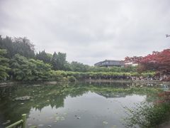 -嘉定紫藤园