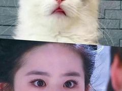 -TSK齿科德申会口腔门诊·联洋诊所