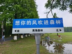 -东台黄海森林公园