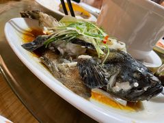 小龙胆-大厝宅海鲜馆