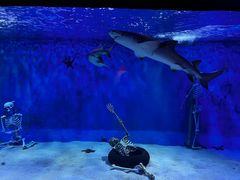 -太平洋海底世界