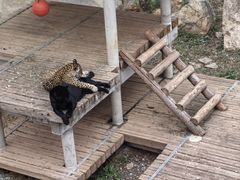 -石家庄市动物园