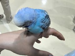-大连圣亚海洋世界