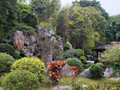 -东莞植物园