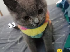 -荔康动物医院(康王北路店)