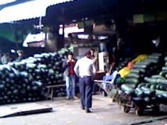 -布吉农产品批发市场