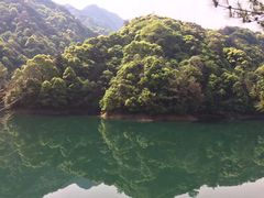 -祁门牯牛降观音堂风景区