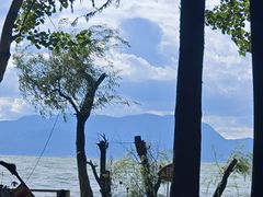 -捞渔河湿地公园