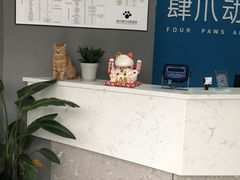 -福州肆爪动物医院