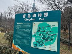 -青岛动物园