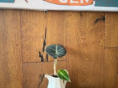 -Torch Coffee 炬点咖啡