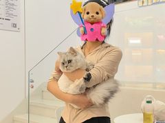 -老吴的猫·猫舍(新区店)