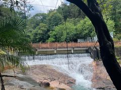 -广州白江湖森林公园