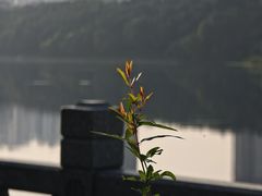 -南宁南湖公园