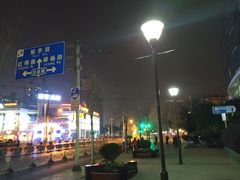 -桃浦新村(地铁站)