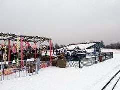 -绿野森林乐园冰雪季