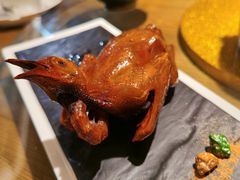 -大鸽饭(岗顶店)