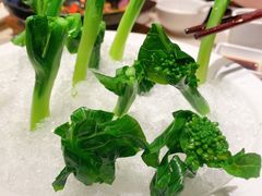 白灼菜心-肥仔文澳门猪骨煲(南京西路店)