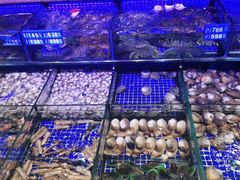 -青蓬蒸汽海鲜·深圳老字号·团建聚会(壹方城店)
