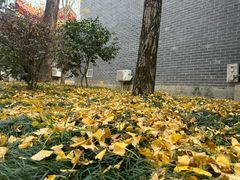 -南岳大庙