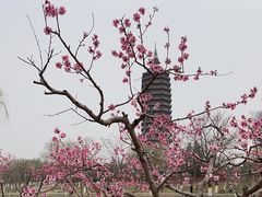-西海子公园